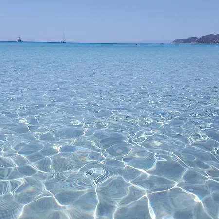 Glamour House וילסימיוס